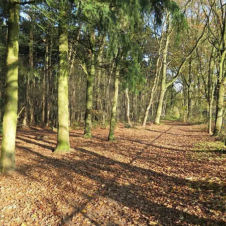 דירה De Runsvoort *