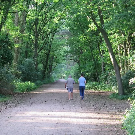 De Runsvoort Helvoirt