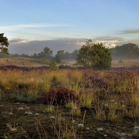 De Runsvoort דירה