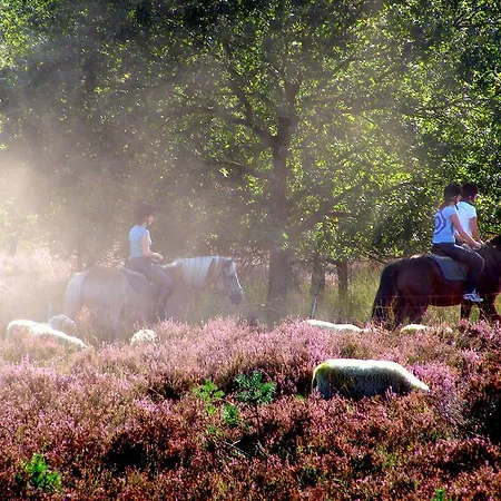 De Runsvoort דירה *