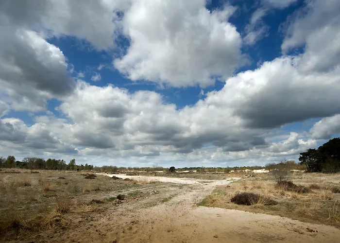 Apartment De Runsvoort