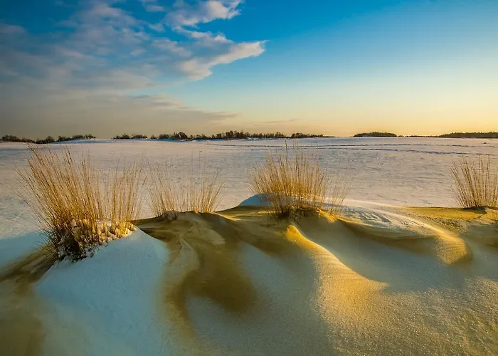 Apartment De Runsvoort Helvoirt