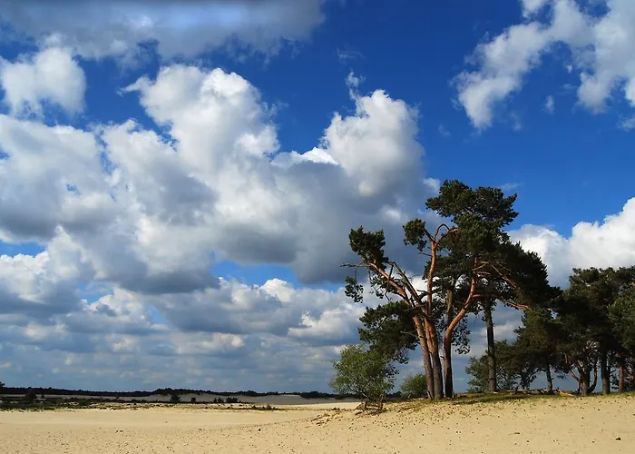 Daire De Runsvoort Helvoirt