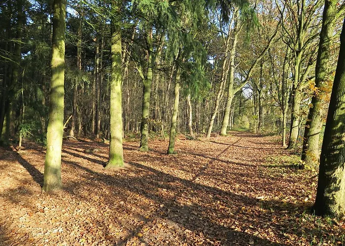 Appartement De Runsvoort *