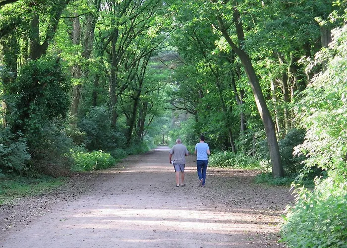 De Runsvoort Helvoirt