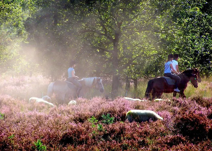德荣斯乌尔特公寓 公寓 *